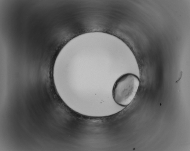 X0000088180162200705150946
