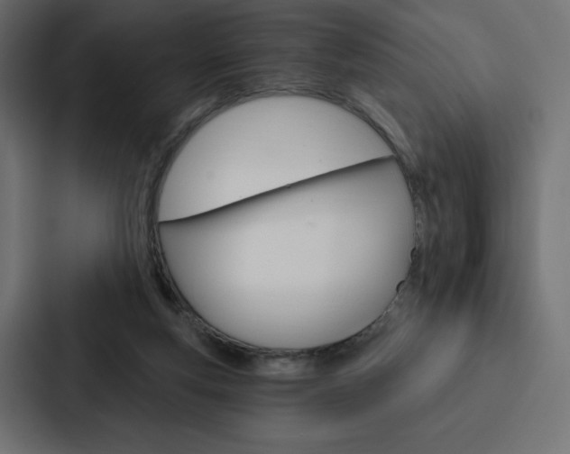 X0000088180163200705150946