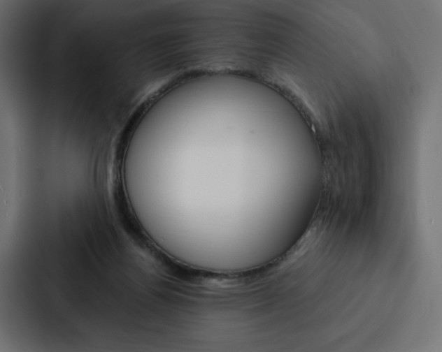 X0000088180164200705150946