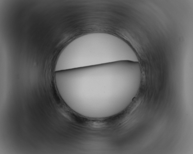 X0000088180165200705150946