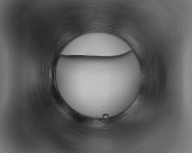 X0000088180166200705150946