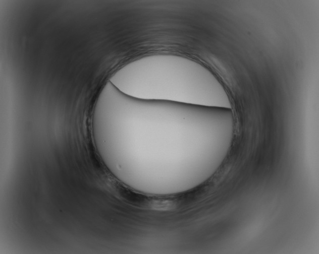 X0000088180169200705150946