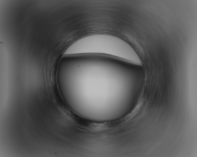 X0000088180170200705150946