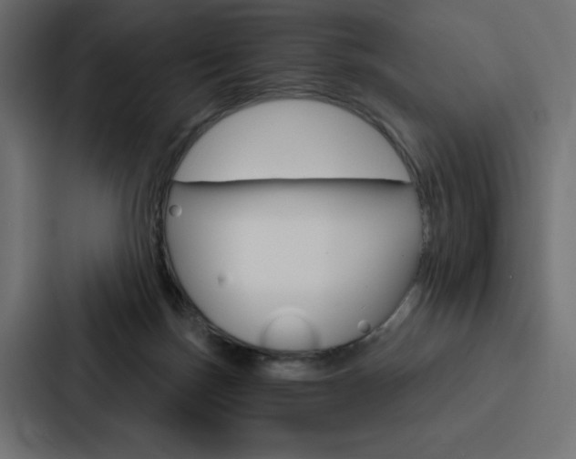 X0000088180171200705150946