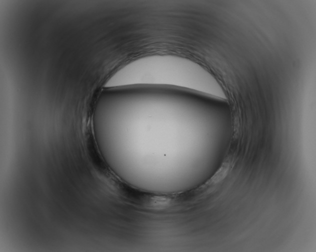 X0000088180176200705150946