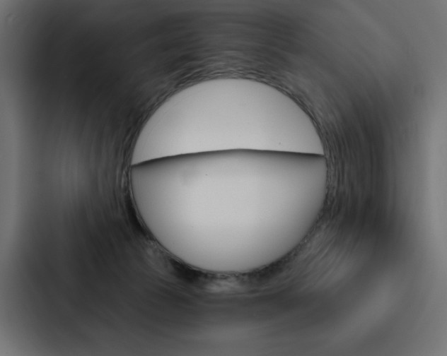 X0000088180177200705150946