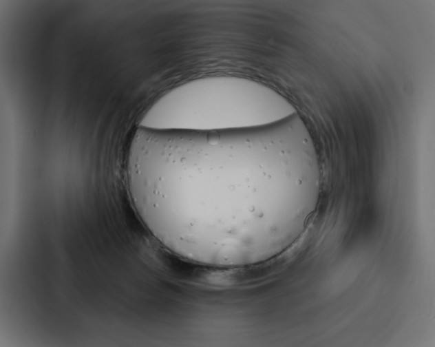 X0000088180178200705150946