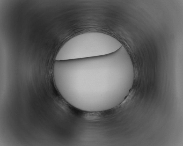 X0000088180179200705150946