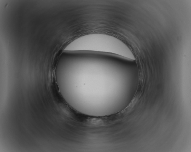 X0000088180180200705150946