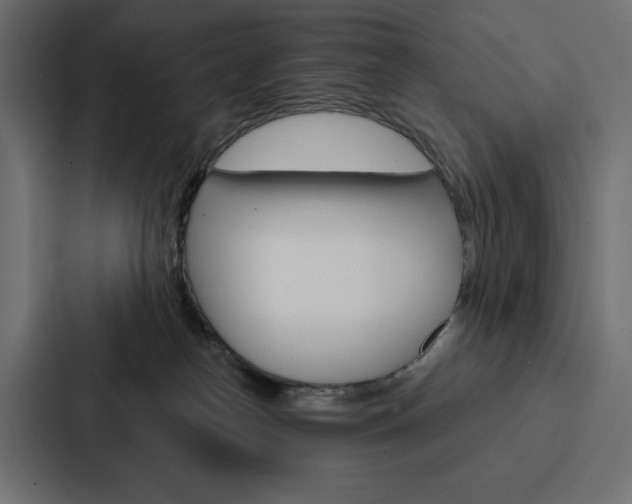 X0000088180182200705150947
