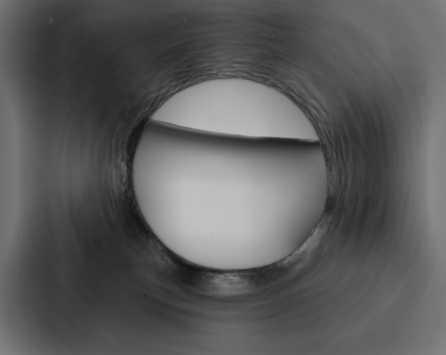 X0000088180183200705150947