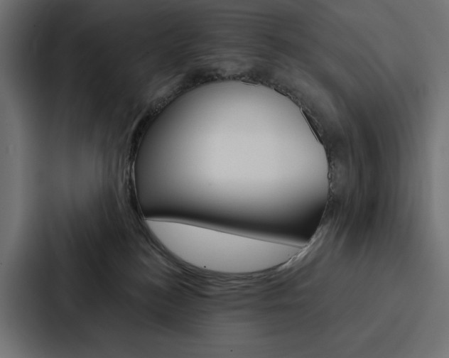X0000088180184200705150947