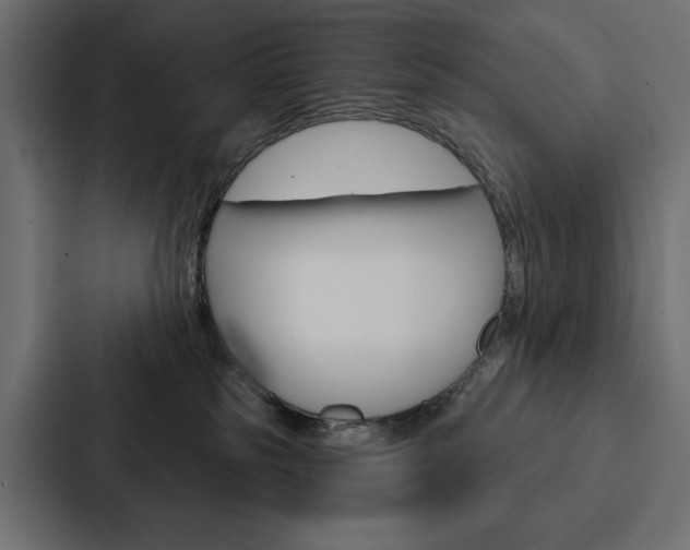 X0000088180185200705150947