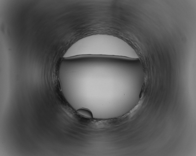 X0000088180186200705150947