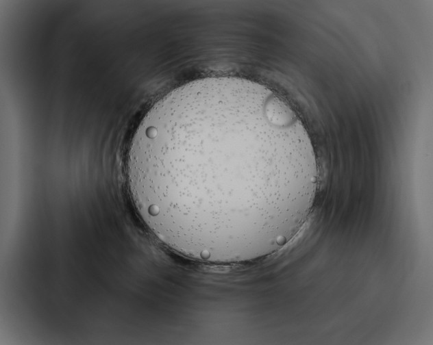 X0000088180187200705150947