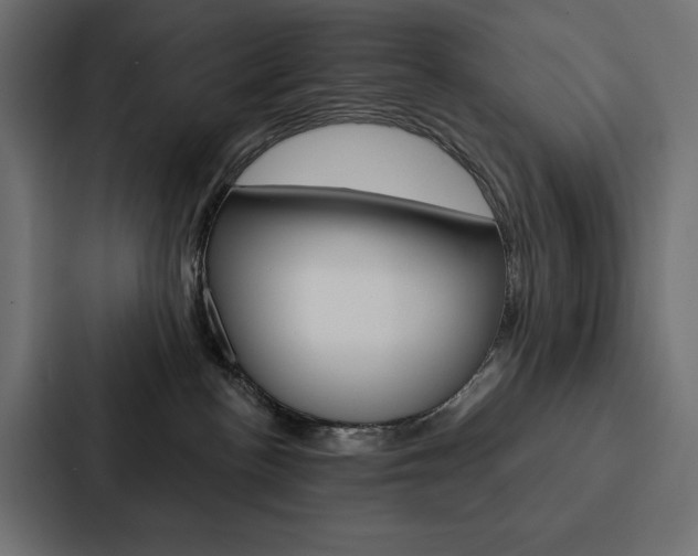 X0000088180188200705150947