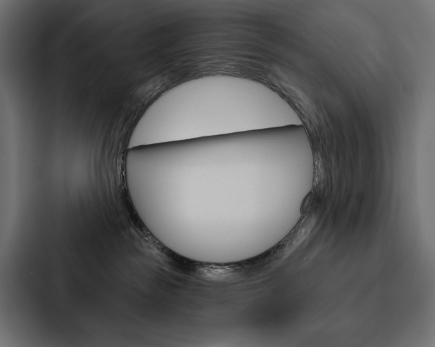 X0000088180189200705150947