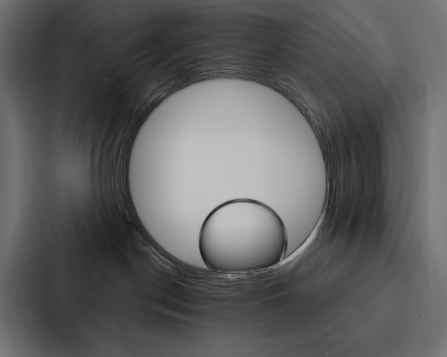 X0000088180190200705150947