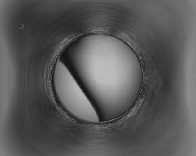 X0000088180193200705150946