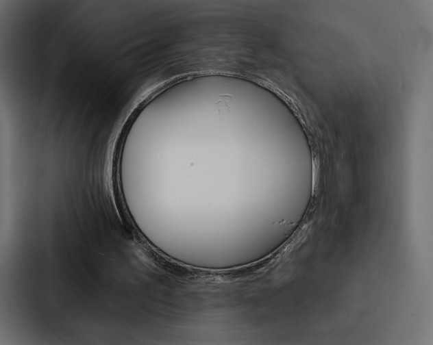 X0000088180195200705150946
