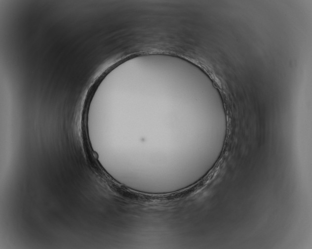 X0000088180196200705150946