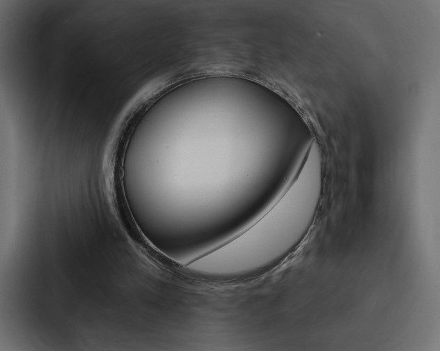 X0000088180197200705150946