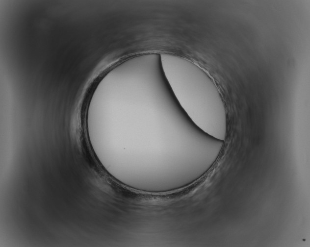 X0000088180198200705150946