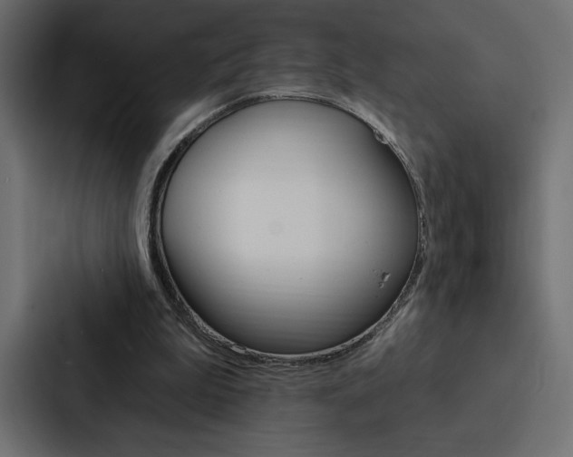 X0000088180199200705150946