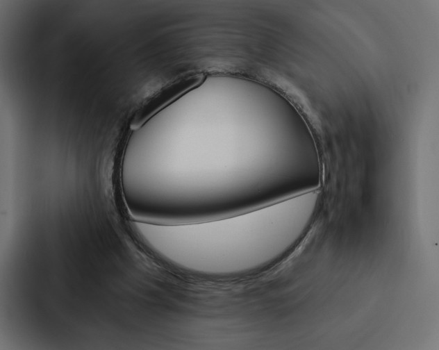 X0000088180201200705150946