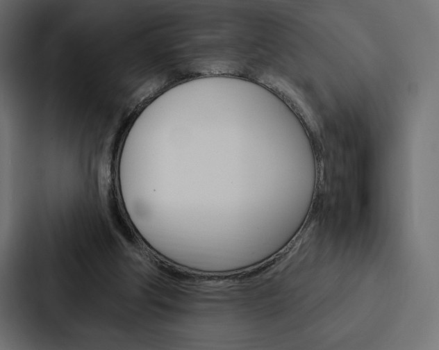 X0000088180202200705150946