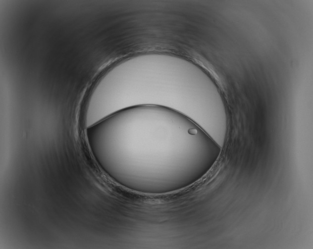 X0000088180203200705150946