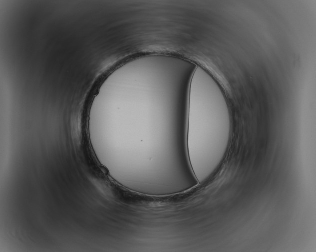 X0000088180204200705150946