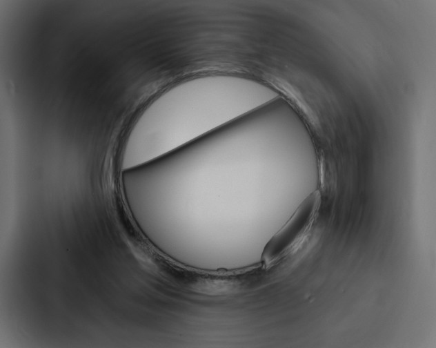 X0000088180205200705150946