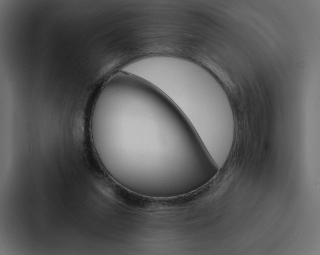 X0000088180207200705150946