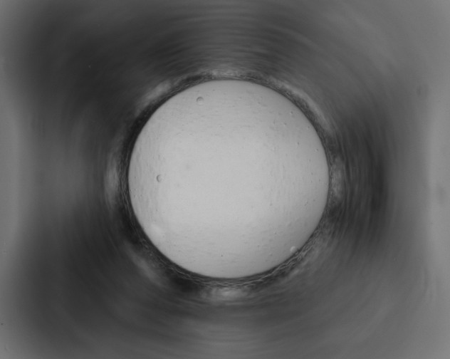 X0000088180208200705150946