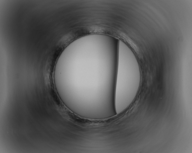 X0000088180209200705150946