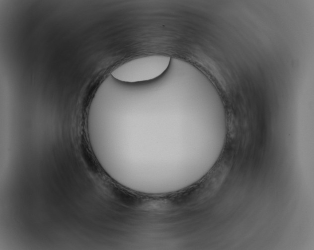 X0000088180210200705150946