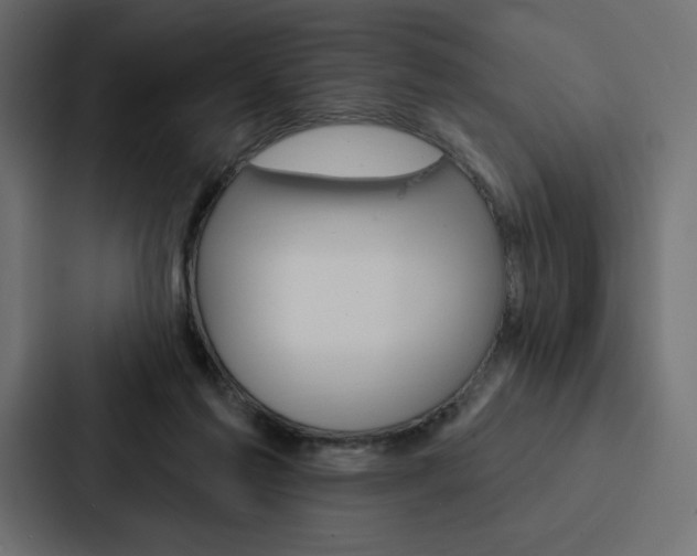 X0000088180213200705150946