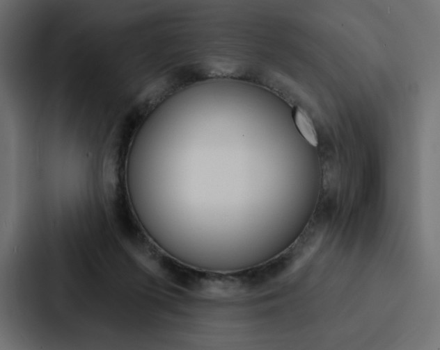 X0000088180215200705150946