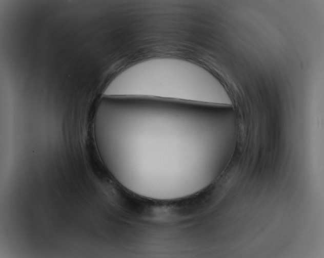 X0000088180216200705150946