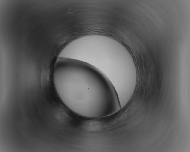 X0000088180219200705150946