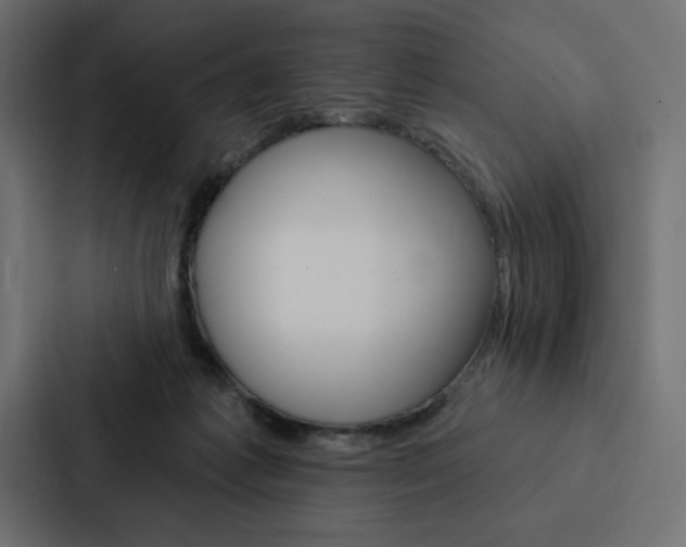 X0000088180221200705150946