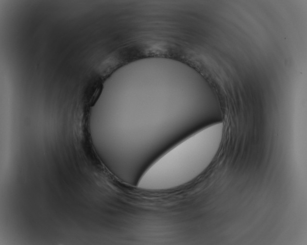 X0000088180223200705150946