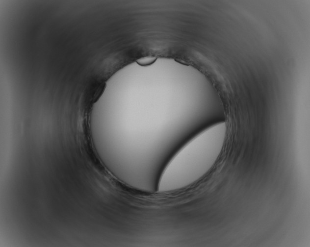X0000088180225200705150946