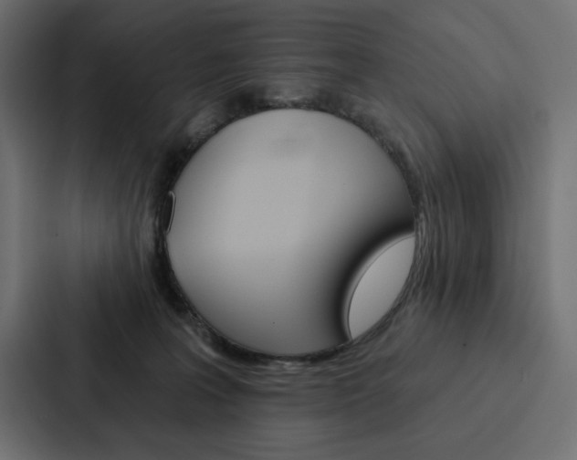 X0000088180227200705150946