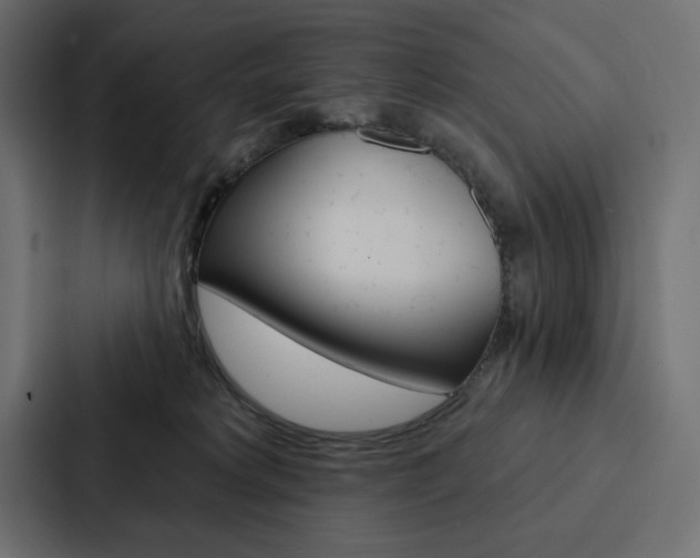 X0000088180229200705150946