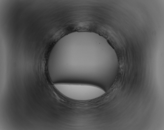 X0000088180231200705150946