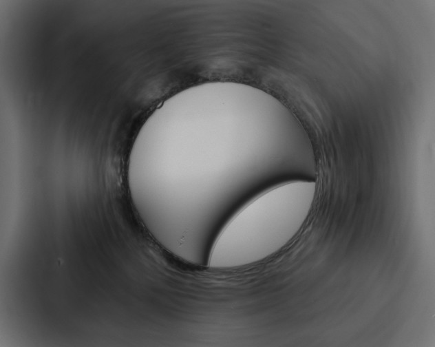 X0000088180232200705150946