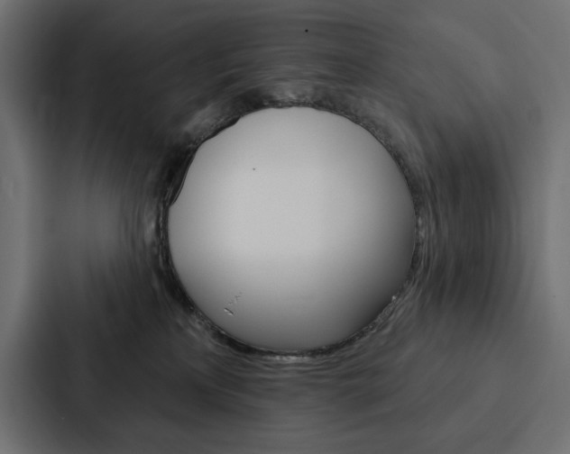 X0000088180233200705150946