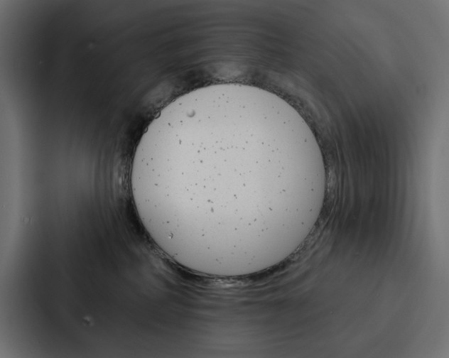 X0000088180234200705150946